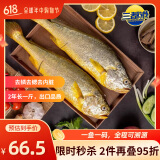 三都港 冷冻三去大黄鱼700g/2条装 宁德黄花鱼 生鲜 鱼类 端午节