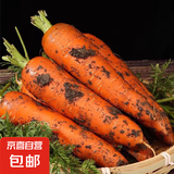 京喜加新鲜现挖现发胡萝卜农家自种蔬菜水果沙地红萝卜 带泥胡萝卜5斤 含箱