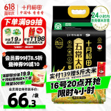 十月稻田 当季新米 绿色食品 五常大米 10斤 京东超市 联名款 东北大米