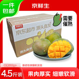 京鲜生 攀枝花凯特芒果 净重4.5斤 单果600g 生鲜水果 源头直发