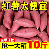 言觉板栗蜜薯10斤红薯西瓜红 沙地蜜薯小香薯新鲜现挖湖北地瓜山芋 红薯 精选5斤大果