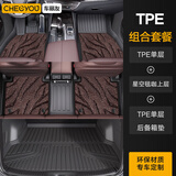 车丽友定制全包围TPE汽车脚垫尾箱垫套餐定制适用于威兰达星愿秦plus
