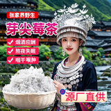 张家界永顺莓茶张美丽特级野生2025新茶龙须嫩芽尖藤茶长寿村特产 罐装高品质20g芽尖莓茶(试喝装) 莓茶降减三高京官方店东自旗舰营