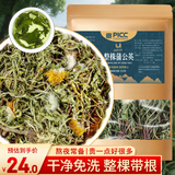 山林百草 【水洗大根】整株蒲公英250g 新货带根  蒲公英叶根茶产地高品质
