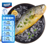 海名威 冷冻宁德黄花鱼600g/条 大黄鱼 深海鱼 生鲜鱼类 海鲜水产 