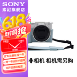 索尼（SONY）索尼微单相机 摄像机适用 2（京仓） E10皮套+腕带套装（蓝色）新