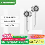 直白负离子吹风机低音护发大风力速干便携家用电吹风智能温控恒温吹风筒520礼物送女朋友HL340pro银色