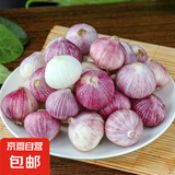 京喜自营云南紫皮独头蒜干蒜高原珍珠蒜新鲜蔬菜调料 专享14个 40g 单果2cm左右