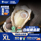 贝司令（BEISILING）【鲜活】乳山生态生蚝牡蛎贝类烧烤源头直发XL净重4斤 海鲜水产