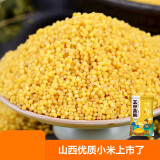 黄小米 油小米杂粮山西特产当季新米五谷杂粮粗粮熬粥月子米 山西黄小米250g 体验装