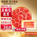 宜露梅花鲜鹿茸片100g新鲜含血头茬二杠整根切片泡酒药材源头直发包邮