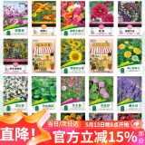 花沃里20款花种子套餐 花卉种子组合太阳花凤仙花向日葵四季种野花