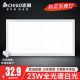 志高厨房灯集成吊顶厨卫灯具300x300x600x600扣板灯卫生间吸顶平板灯 23W 【热卖】/300*600mm白色/白光