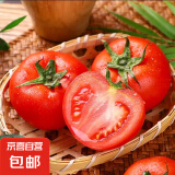 山东大红番茄西红柿农家新鲜水果生吃新鲜蔬菜小果番茄 西红柿小果 3斤 单果60g+