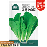北蔬 小白菜种子苗秋四季阳台速生青菜蔬菜种籽 四季小白菜种子2000粒