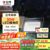 公牛（BULL）LED投光灯户外庭院工厂园林灯露营灯 IP65防水等级30W-6500K白光
