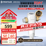 滨特尔（pentair）前置过滤器大通量家用全屋自来水管道40μm过滤器9吨/H大流量水驱涡轮+反冲洗刮洗净水器 【升级9T/H】S160前置过滤器