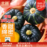 北蔬 贝贝南瓜种子种苗板栗味阳台盆栽种菜蔬菜种籽 贝贝南瓜种子10粒