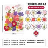 天色干花书签材料包创意手工制作小学生男女孩毕业纪念礼物植物标本莫奈花园彼得兔多色30朵TS-6136