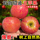 骄瑰云南昭通丑苹果 高山冰糖心红富士苹果水果年货节礼盒 果经-90mm以上 （精品果王） 9斤精品装【优选推荐蕞划算】