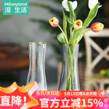 漫生活花瓶玻璃客厅摆件透明插花瓶书房桌面装饰花器金边束腰玫瑰插花