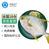 环球水产 南海特大金鲳鱼 750g1条  BAP认证 生鲜鱼类 海鲜水产 家庭聚餐
