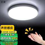 灯灵雷达声控感应灯光控楼梯间小区过道入户走廊玄关阳台车库吸顶灯 22cm-18w声控感应