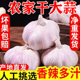 【手挑精选】新干大蒜2025干大蒜干蒜头紫皮蒜多瓣蒜白蒜种籽批发 干大蒜 5斤 中大果4cm以上