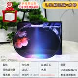 依华莱斯迷你桌面专用水母缸小丑鱼赤月海月大西洋家用小型发光观赏水母瓶 水母套餐 套餐组合