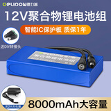 德力普（Delipow）12v锂电池大容量锂离子聚合物锂电池组带显示屏移动电源太阳能灯音响监控设备24V可充电方形电池 12V 8000毫安【送2A充电器】