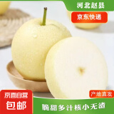 京喜加赵州皇冠梨河北皇冠梨产地直发 皇冠梨净重9斤单果170g+