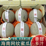 橙小士 海南网纹瓜 冰淇淋玫珑蜜瓜糯甜瓜海南新鲜水果热带年货礼盒 5斤优选【2-4个】净果4.5斤