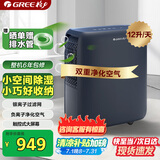 格力（GREE）【轻音小体积 空气净化】除湿机/抽湿机家用卧室客厅除湿器升级负离子净化适用面积24平DH12ENA1A