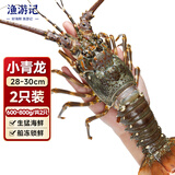 渔游记印尼小青龙虾 1.2-1.6斤/2只 超大龙虾 花龙海鲜水产大虾虾类