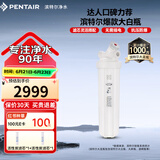 滨特尔（pentair）大白瓶前置过滤器 全屋家用自来水过滤器 前置净水器大蓝瓶 中央净水机大流量大胖瓶高精度 【20寸大白瓶】包安装