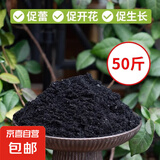 纯草木灰肥料天然有机钾肥正宗农家肥育苗杀虫种菜果树通用稻壳炭 纯草木灰（现烧现卖）50斤