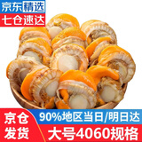 优牧冠 冷冻扇贝肉 部分带黄可做蒜蓉粉丝扇贝 70%固形物含量 大号 1斤