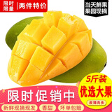 玖原农珍 海南大青皮金煌甜心芒果净重4.5-5斤优选果200-350g当季新鲜水果