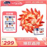 Clearwater北极清水加拿大北极贝1kgM码 51-70只 0添加餐饮装  礼盒装