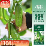 寿禾 旱黄瓜种子强雌籽种各种水果青瓜夏秋四季蔬菜寿光种籽 青美玉旱黄瓜种子10g（约200粒）