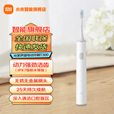 米家小米声波电动牙刷T300成人情侣充电式智能防水震动  七夕礼物推荐 米家声波电动牙刷 T300
