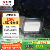 公牛（BULL）LED投光灯户外庭院工厂园林灯露营灯 IP65防水等级30W-6500K白光