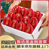 优味集莲雾黑金刚【顺丰JD速发】整箱热带新鲜孕妇水果海南雾连风铃铛 2500g净重【商超级单果75-120g】