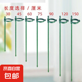 点砚植物防倒伏支架铁艺绣球吊兰支撑杆园艺固定架爬藤花卉朱顶红 植物固定架-长30厘米