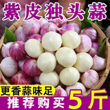 新鲜大蒜头2025年现挖正宗紫皮独头蒜红皮农家特产大蒜生鲜批发 3斤装 中果【果径2.5-3cm】