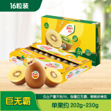 佳沛（zespri）新西兰  金果16粒猕猴桃礼盒经典果单果 77-103g 端午节水果礼盒
