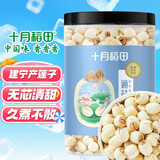 十月稻田 建宁去芯莲子 320g 大粒白莲子 冰糖红枣桂圆百合银耳羹