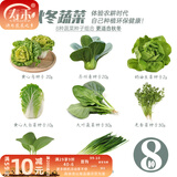 寿禾 大叶小叶菠菜种子大全波菜种蔬莱耐寒蔬菜四季播寿光夏秋菜籽 8种秋冬蔬菜种子套装