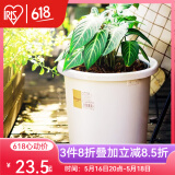 爱丽思（IRIS）Deepot花盆加厚树脂控根圆口绿萝绣球蔷薇月季塑料花盆 9号白色(口径约30cm)无盆托
