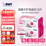 倍世（BWT） 第4代镁离子活力款滤芯 德国技术欧洲原装进口 过滤净水器家用滤水壶净水杯净水壶用 【镁离子】12只装